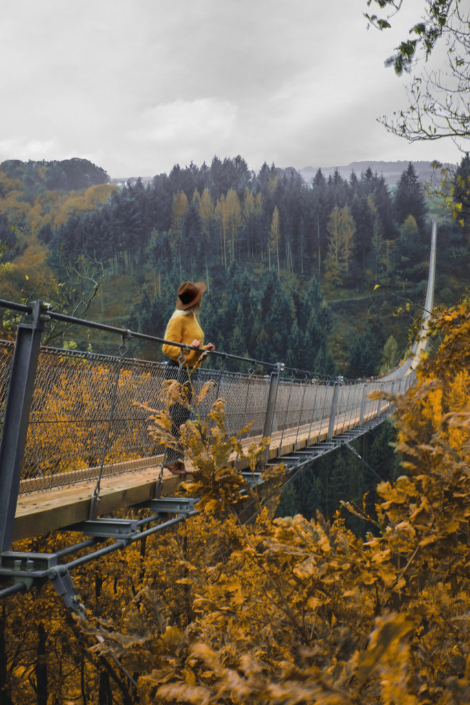 Geierlay Hängeseilbrücke im Herbst 683x1024 - Hängeseilbrücke Geierlay - Adrenalinkitzel im schönen Hunsrück