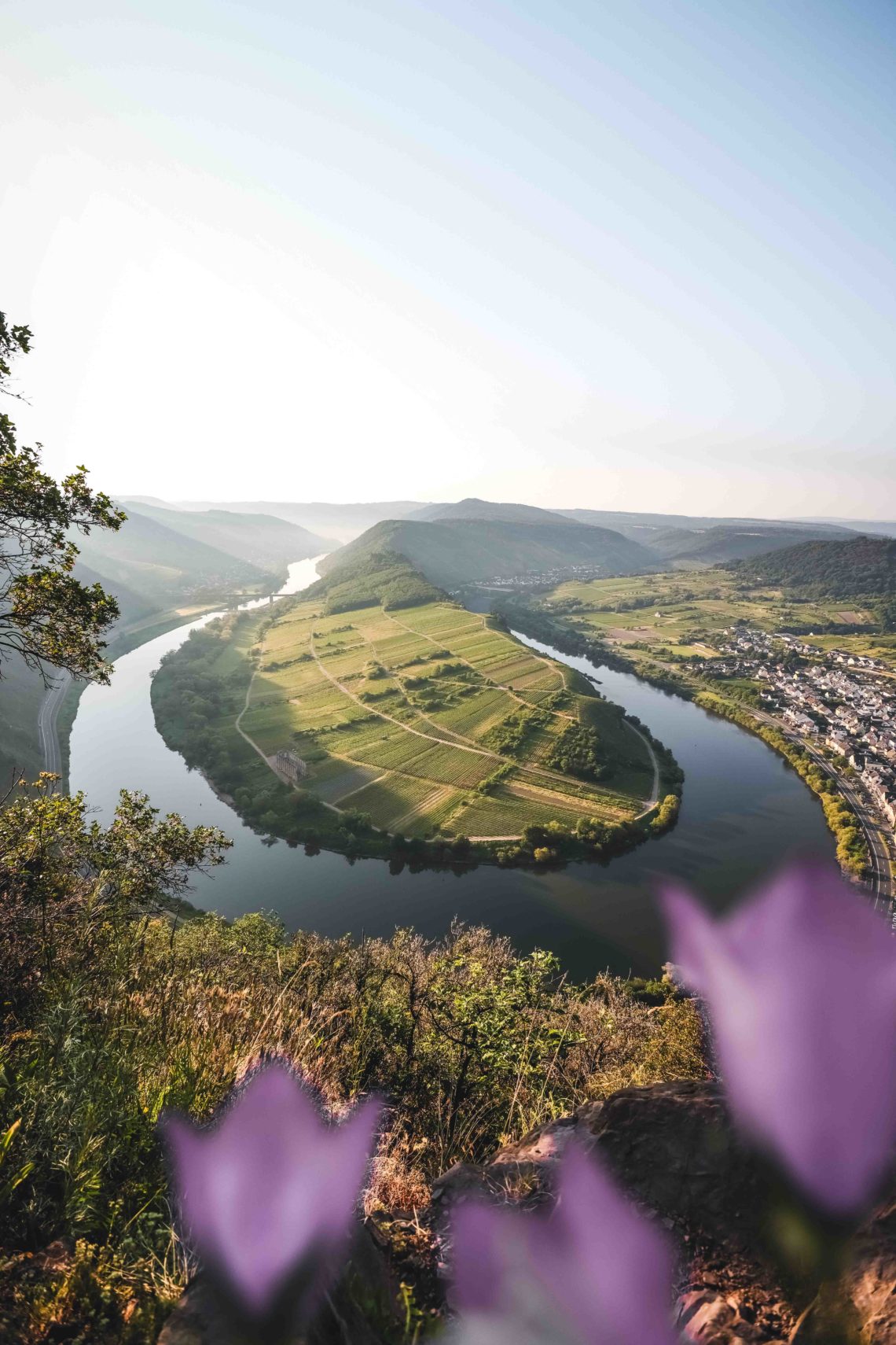 Aussicht Moselschleife 1140x1710 - Moselschleife & Bremmer Calmont - phantastische Ausblicke vom schönsten Moselwanderweg
