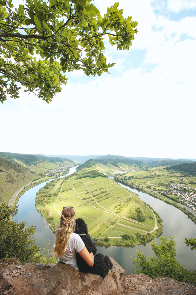 Aussichtspunkt Moselschleife 683x1024 - Moselle loop & Bremmer Calmont - fantastic views from the most beautiful Moselle hiking trail