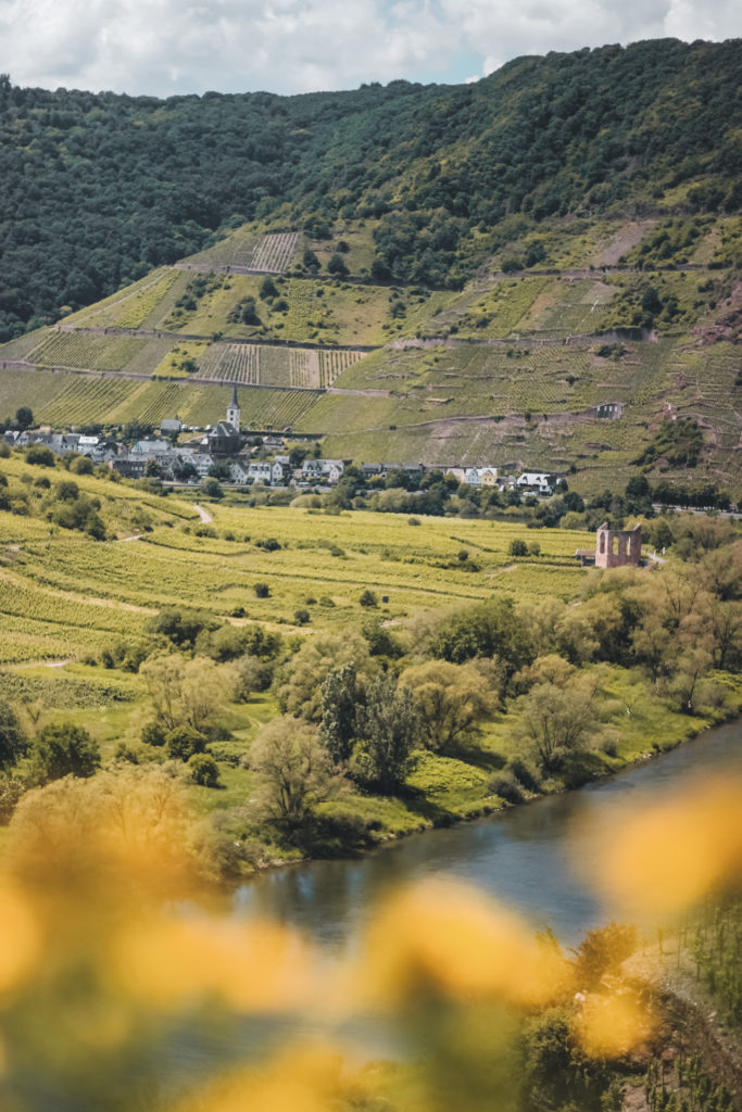 Blick auf die Klosterruine Stuben 683x1024 - Moselschleife & Bremmer Calmont - phantastische Ausblicke vom schönsten Moselwanderweg